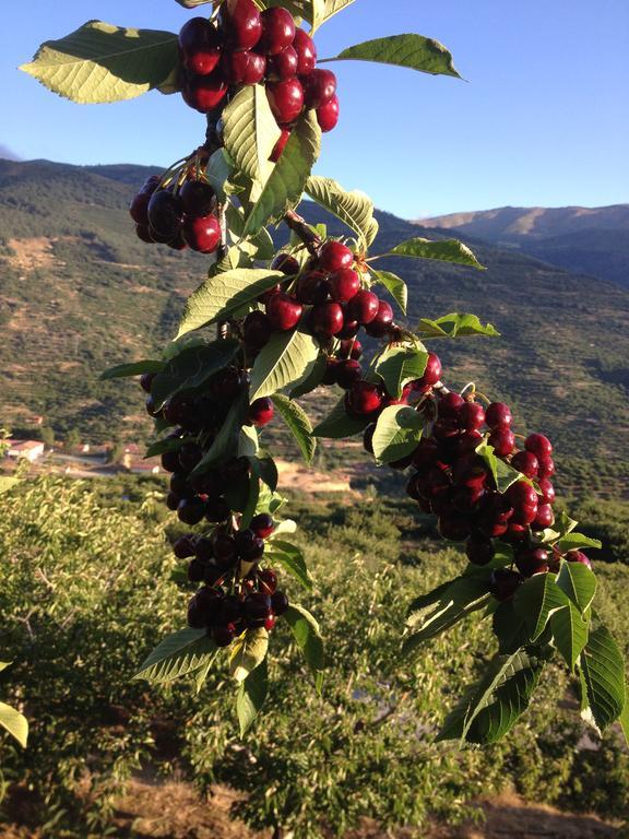 Appartamento El Cerrillo Navaconcejo Esterno foto