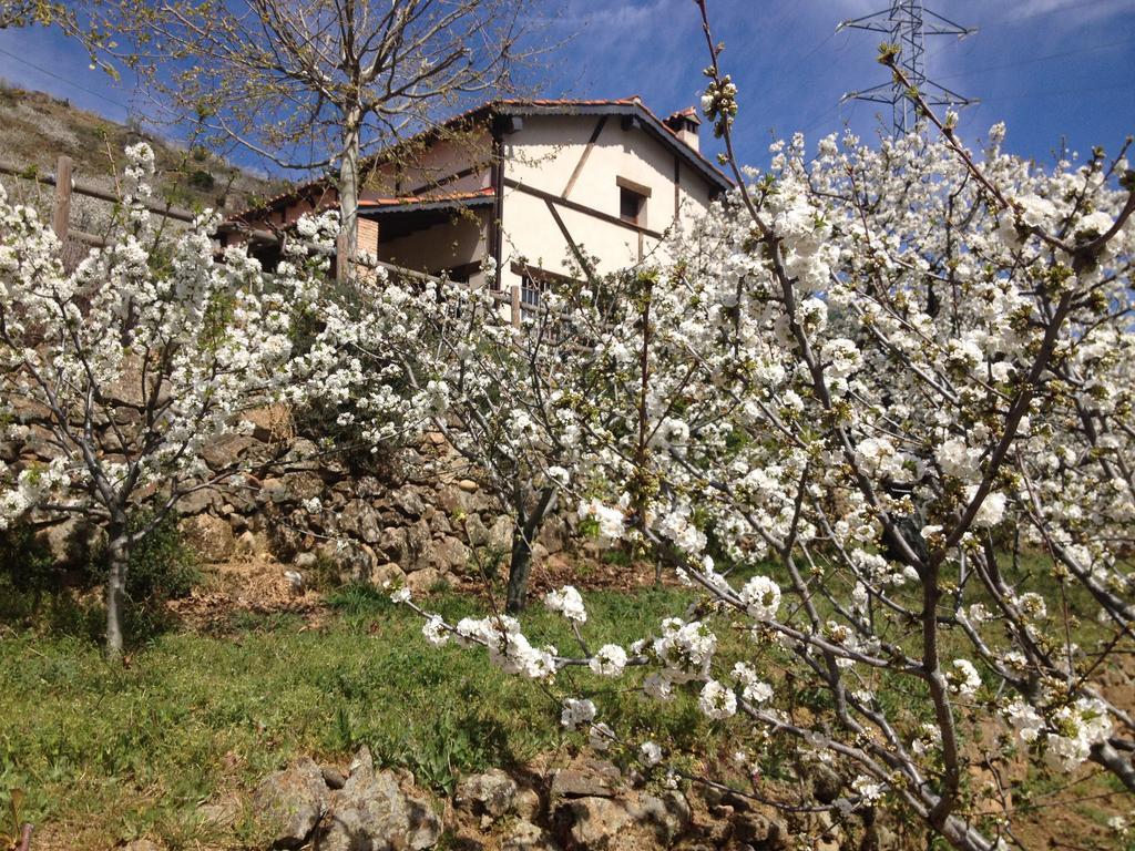 Appartamento El Cerrillo Navaconcejo Esterno foto